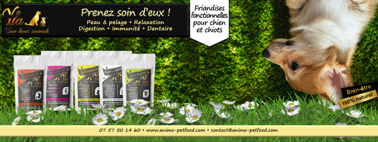 friandises-naturelles-pour-chien-et-chiot